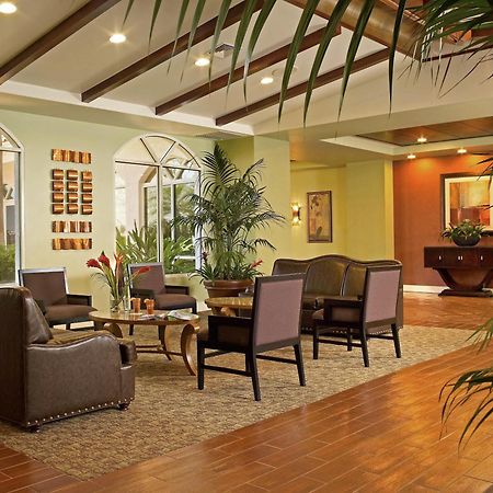 Palm Beach Shores Resort And Vacation Villas Інтер'єр фото
